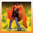 Ruk Jaa O Dil Deewane - Dilwale Dulhania Le Jayenge - Udit Narayan - 1995