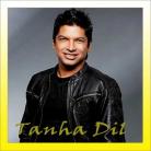 Tanha Dil - Tanha Dil - Shaan - 2000